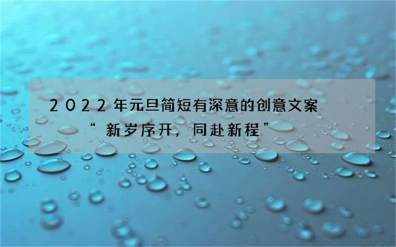 2022年元旦简短有深意的创意文案    &ldquo;新岁序开，同赴新程&rdquo;